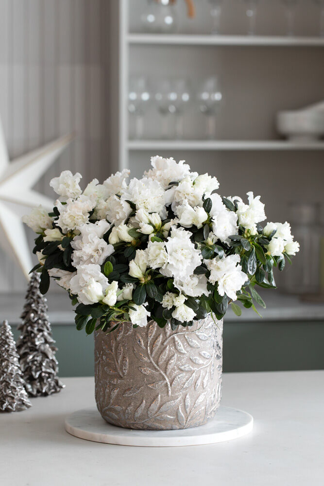 Julepynt